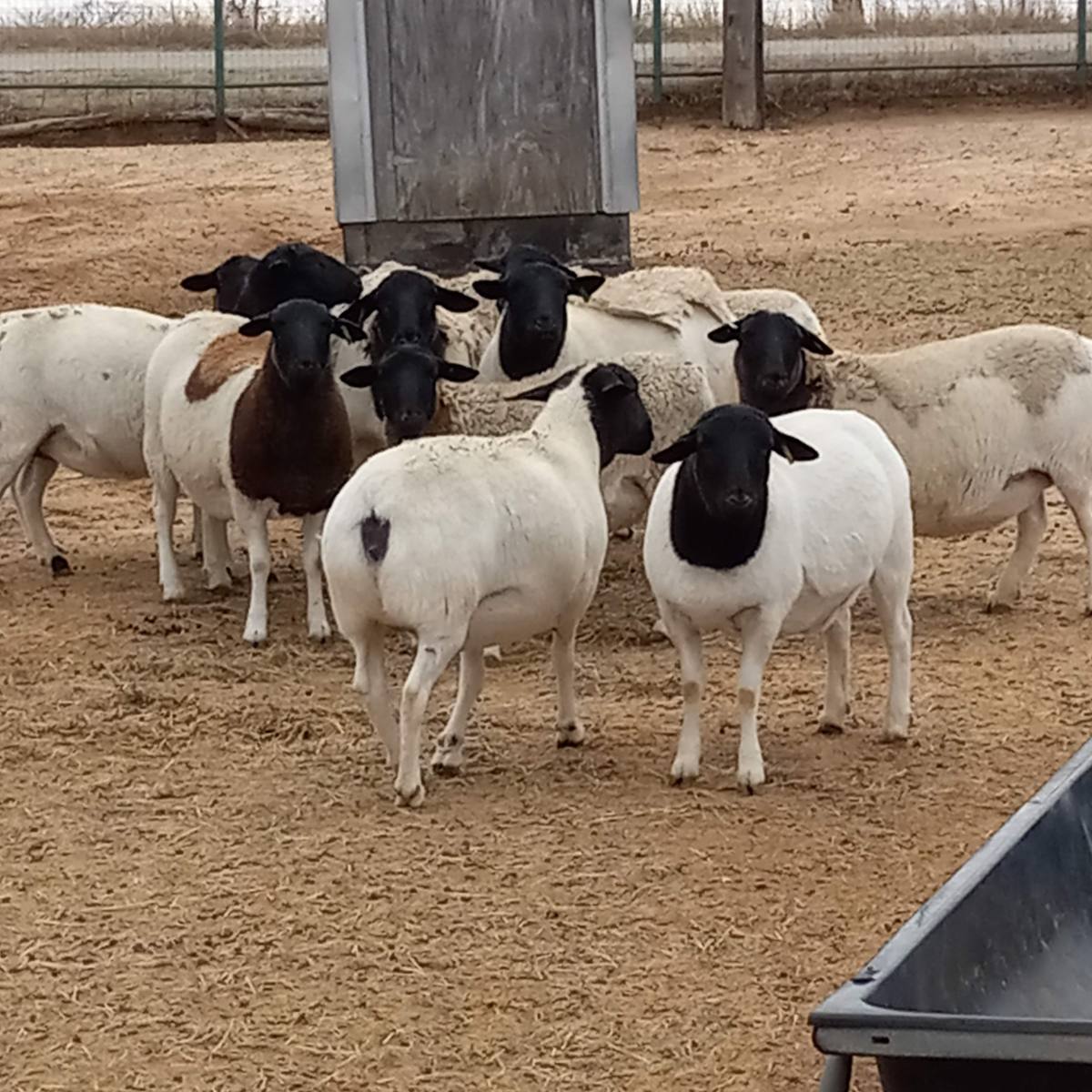 Sore, Tired, Feel&nbsp;Good