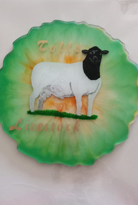 Disillusionment and Reality